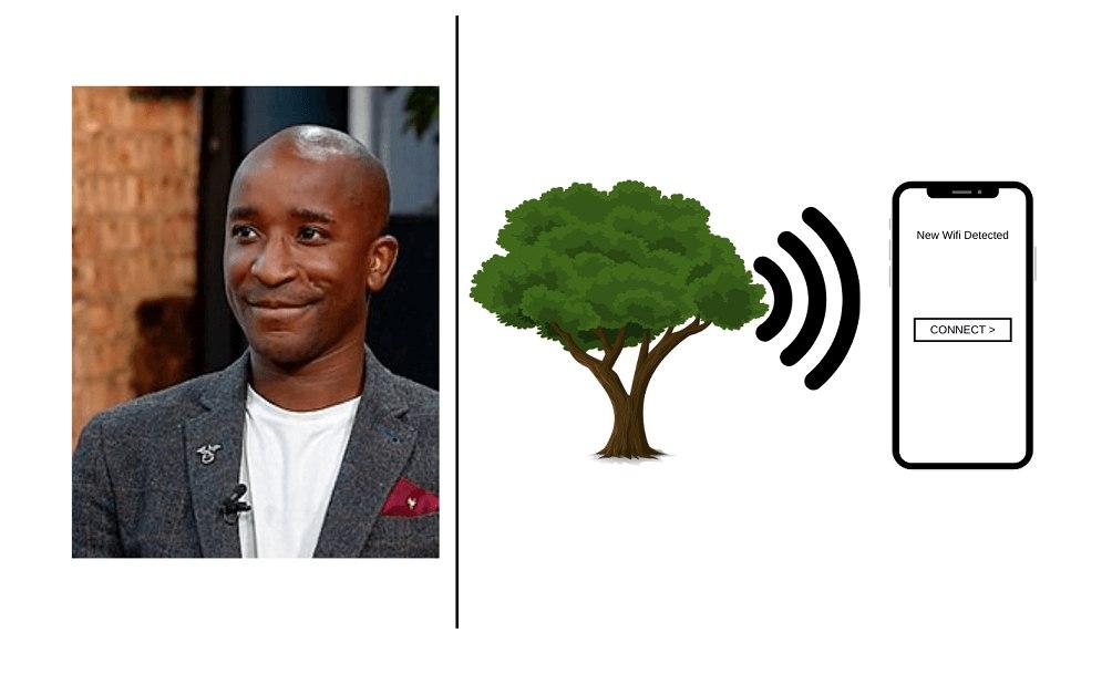شجرة المعرفة